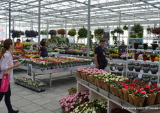 Forever Roses pakte flink uit met de potroosjes.